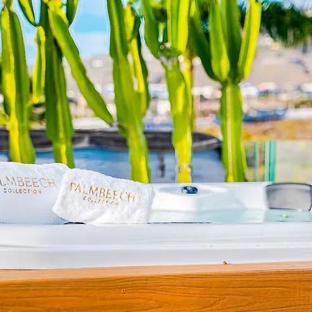 Luxury With Heated Pool & Jacuzzi Near Golf *